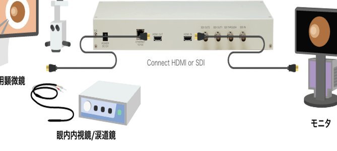 国安13分创纪录低谷，海牛异军突起