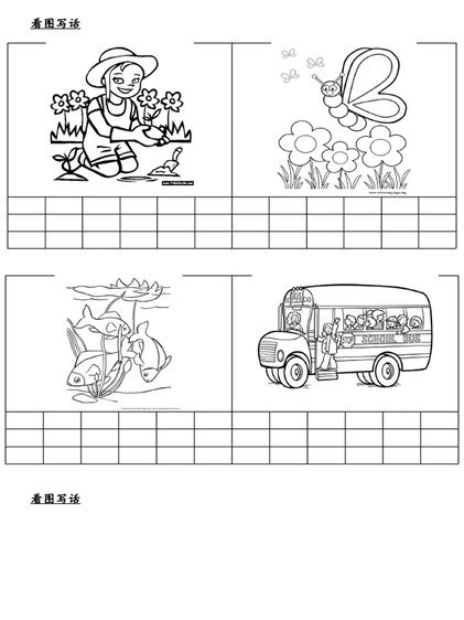 免费看体育赛事