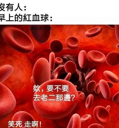 老二的天赋在哥哥阴影中悄然掩埋
